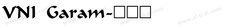 VNI Garam字体转换